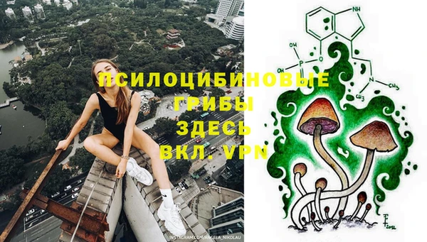 трава Балахна