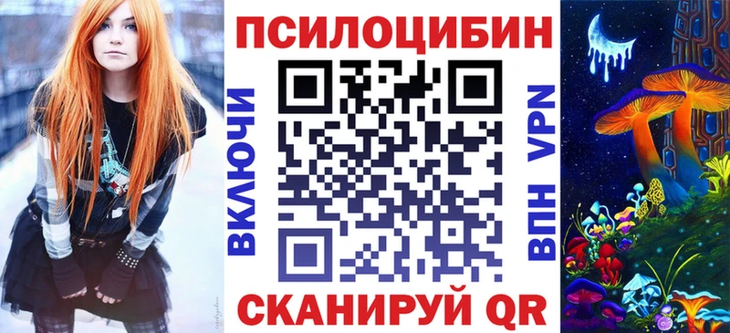 Псилоцибиновые грибы Cubensis  кракен   Армавир 